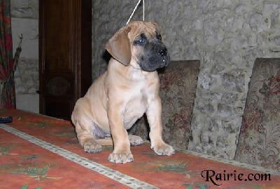 Ullanne Des Terres De La Rairie