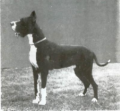 Junker Von Der Nurburg