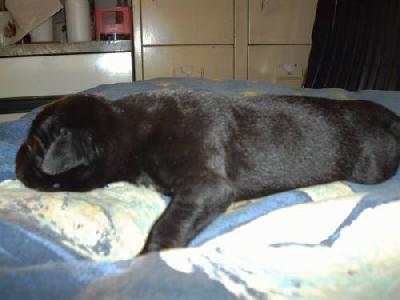 Graf Vom M�rchenland