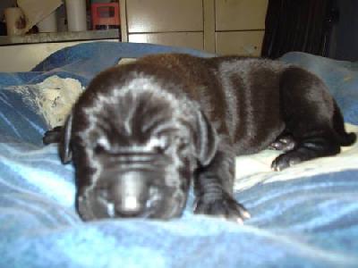 Grace Vom M�rchenland