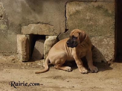 Unra2004031801 Des Terres De La Rairie