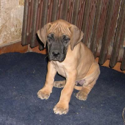 Venise Des Terres De La Rairie