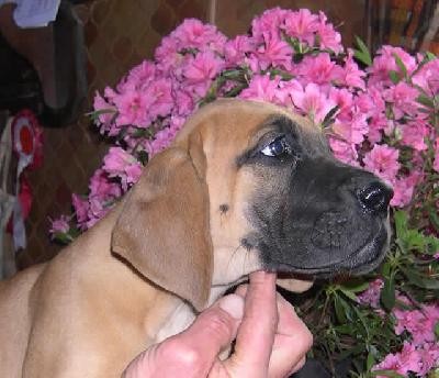 Unra2004031806 Des Terres De La Rairie