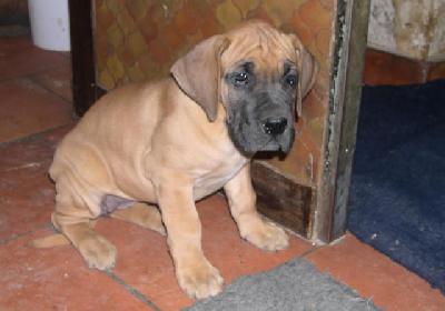 Venus Des Terres De La Rairie