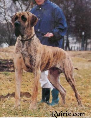 Ilyan Von  Den Auguren