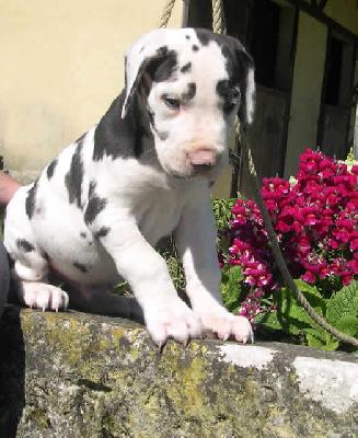 Yuro2004032801 Des Terres De La Rairie