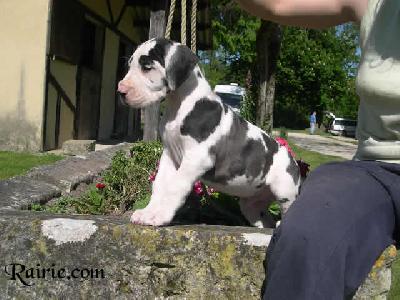 Yuro2004032801 Des Terres De La Rairie