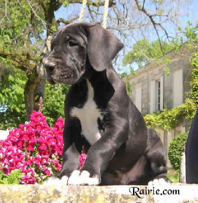 Yuro2004032803 Des Terres De La Rairie