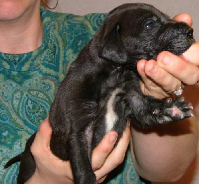 Harry Potter Vom M�rchenland