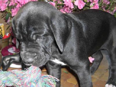 Orme2004040501 Des Terres De La Rairie