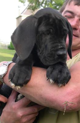 Valonga Des Terres De La Rairie