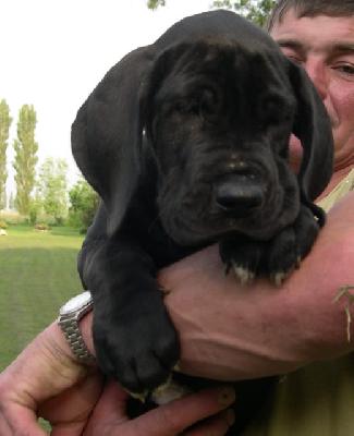 Valonga Des Terres De La Rairie