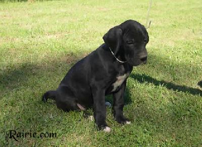 Stro2004040803 Des Terres De La Rairie