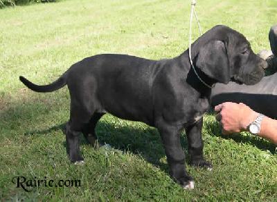 Stro2004040804 Des Terres De La Rairie