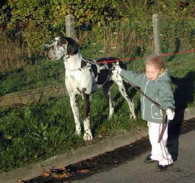 Crystal Claudia Bohemica