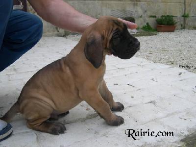 Pisu2004042101 Des Terres De La Rairie