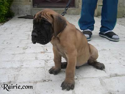 Pisu2004042101 Des Terres De La Rairie