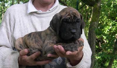 Pisu2004042102 Des Terres De La Rairie