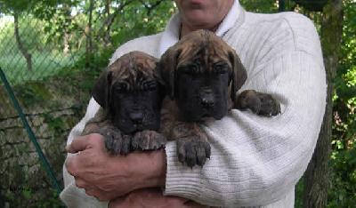 Pisu2004042103 Des Terres De La Rairie