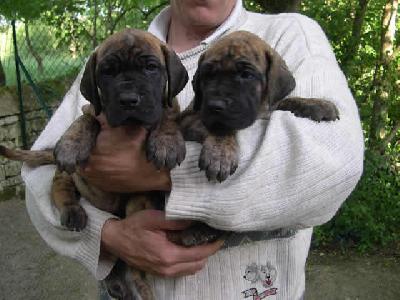 Pisu2004042104 Des Terres De La Rairie