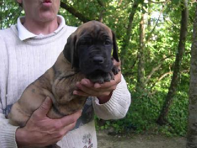 Pisu2004042105 Des Terres De La Rairie