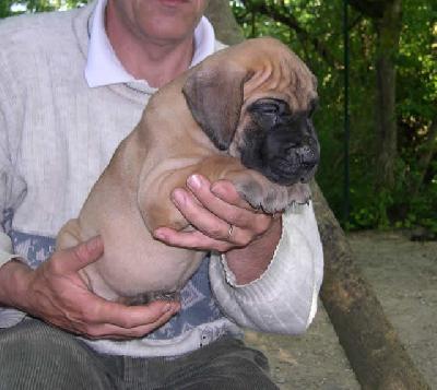 Pisu2004042106 Des Terres De La Rairie