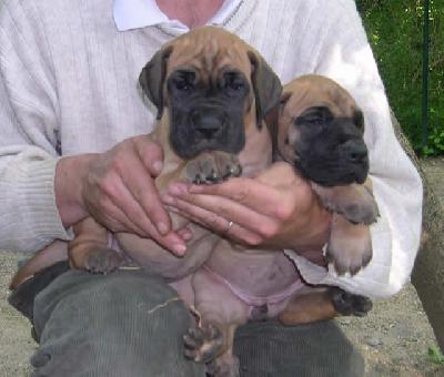 Pisu2004042107 Des Terres De La Rairie