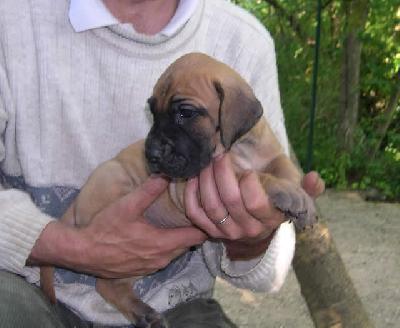 Pisu2004042108 Des Terres De La Rairie