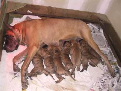 Pisu2004042108 Des Terres De La Rairie