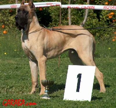 Egas Da Casa Do Torrao