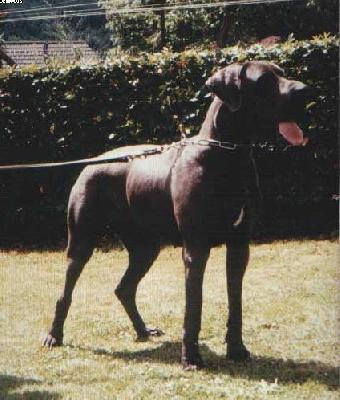 Kira-abigail Von Der Methen