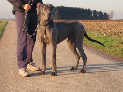 Alexa Von Hochneukirch