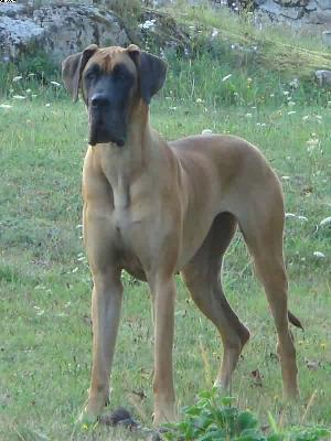 Belle Von Villa-ludesheim