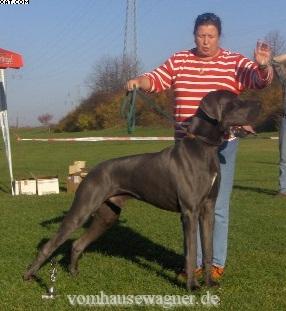 Nestor Vom Hause Wagner