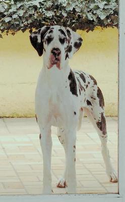 Coralie Von Der Wolfburg