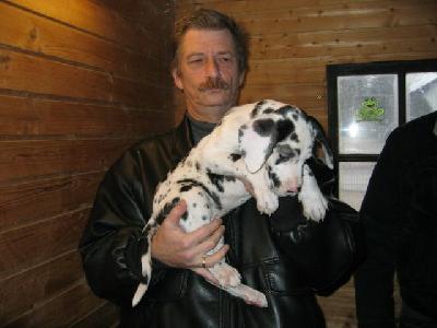 Gigant Von Schlesien