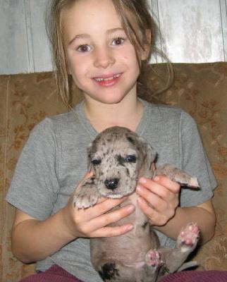 Genius Von Schlesien