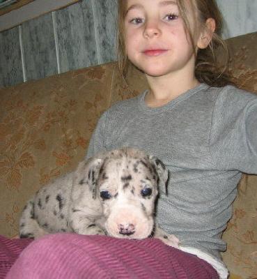 Gentleman Von Schlesien