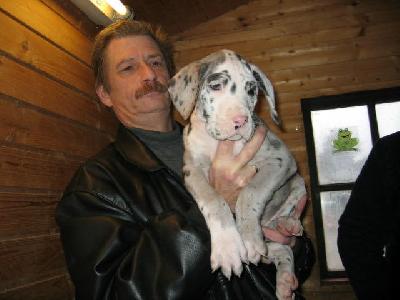 Grey Lord Von Schlesien