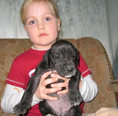 Grand Ellegance Von Schlesien