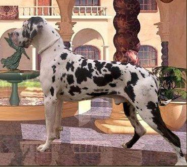 Ajron -a. Il Paradiso Di Bella