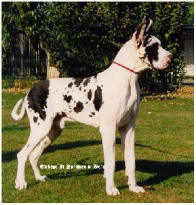 Filippo-a Il Paradiso Di Bella