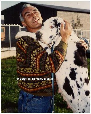 Heva-a Il Paradiso Di Bella