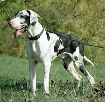 Kaspar Vom Wchterberg