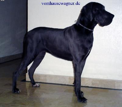 Paris Vom Hause Wagner