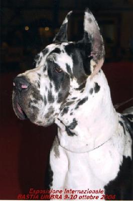 Goya Dei Monti Del Keraton