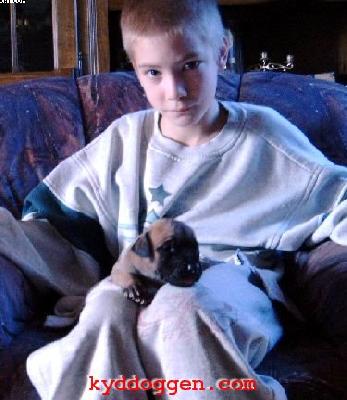 Ikarus Vom Sprendlinger Tal