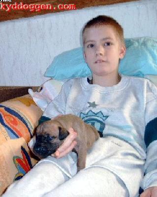 Indiana Vom Sprendlinger Tal