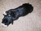 Eis Vom Teufelsgrund