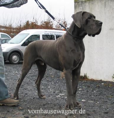 Sabouraud Vom Hause Wagner